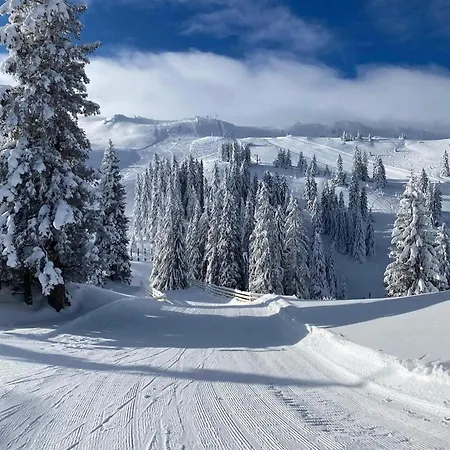 107 - Vucko - & Relax - Private Host 4*