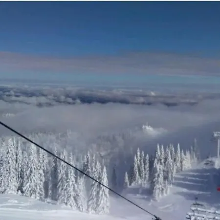 107 - Vucko - & Relax - Private Host 4*