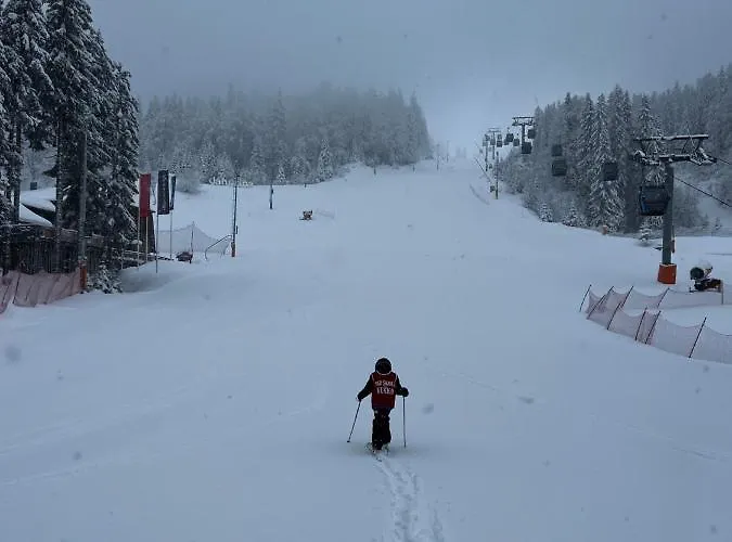 107 In Vucko - & Relax - Private Host